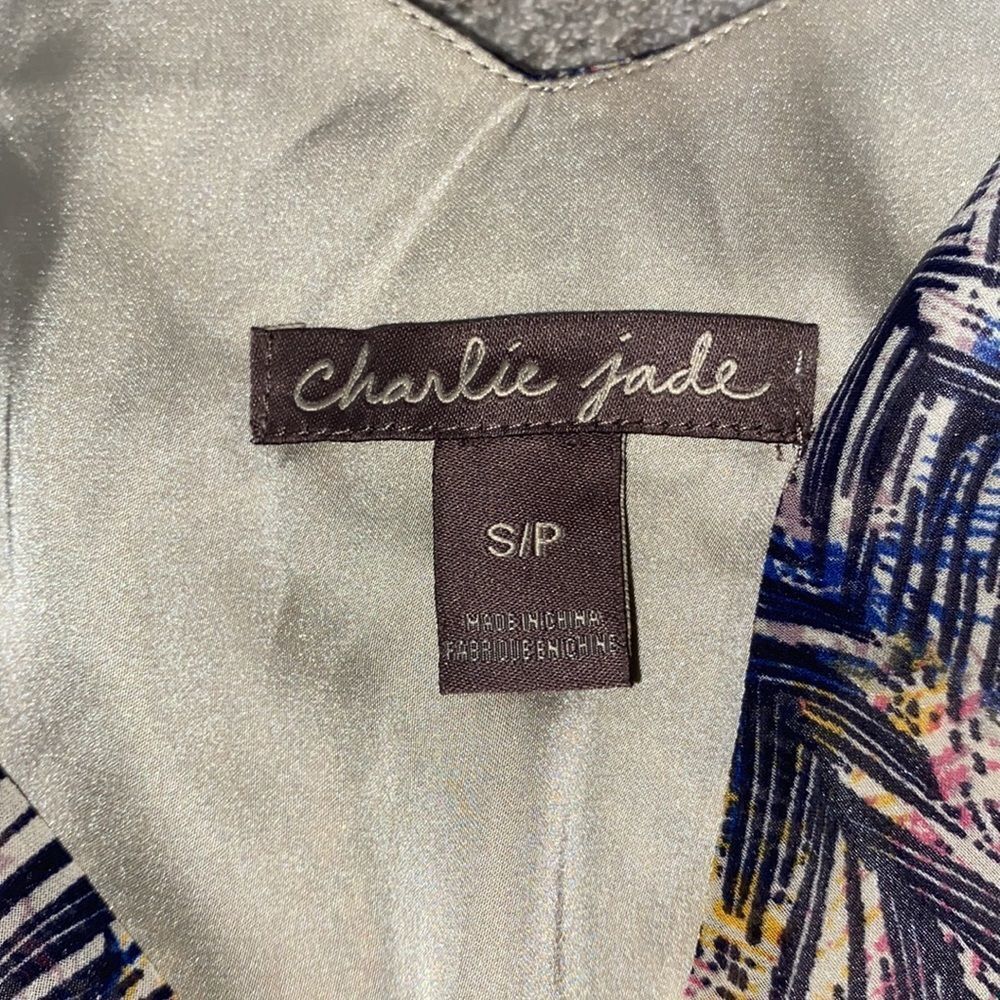 Charlie Jade, Colorful Boho, Feather Print Maxi Dress - Picture 8 of 16